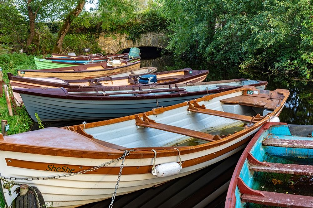 Old wooden boats in Killarney National Park-Ireland art print by Chuck Haney for $57.95 CAD